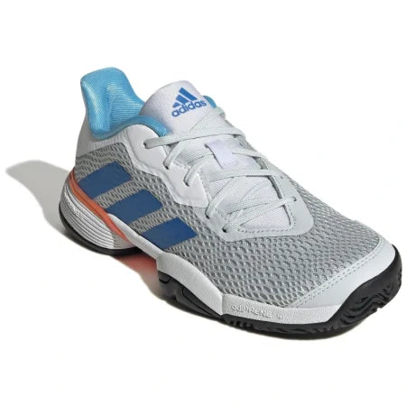 Scarpe Adidas Avaflash Clay Argento-Bianco | RACCHETTA DA PADEL