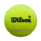 Palline Wilson Padel Premier Speed